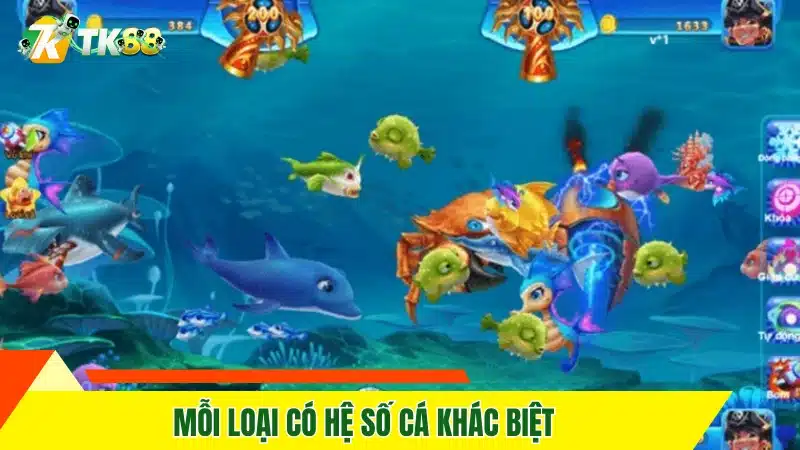 Mỗi loại có hệ số cá khác biệt 